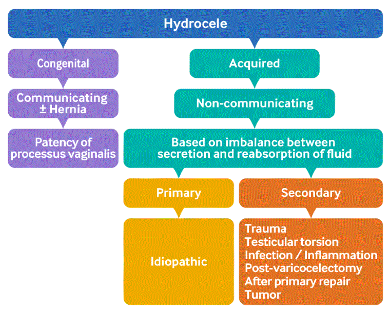 Hydrocele images
