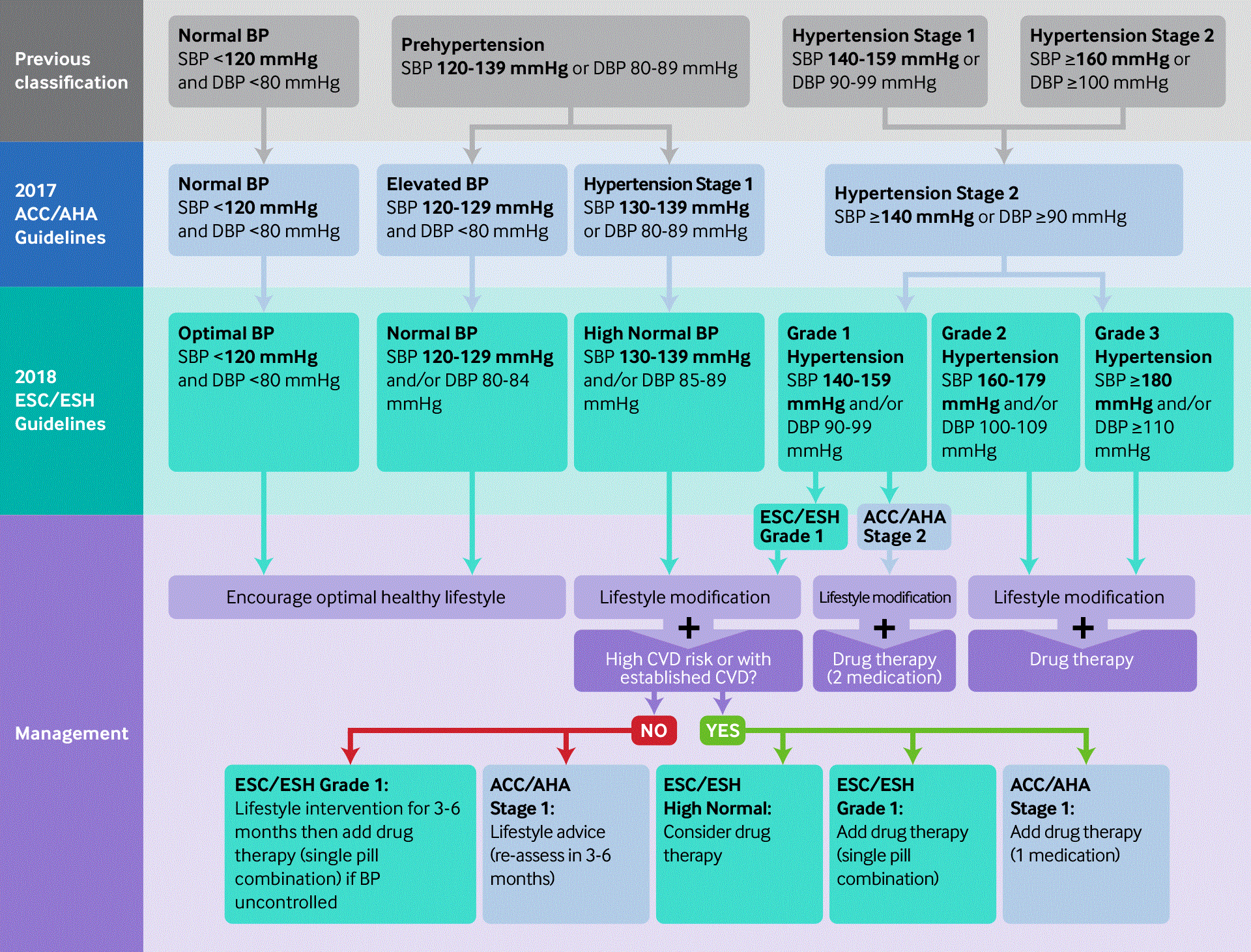 Essential hypertension images