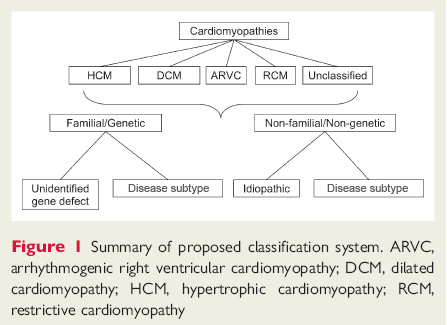 com.bmj.content.model.assessment.Caption@10fabb7c