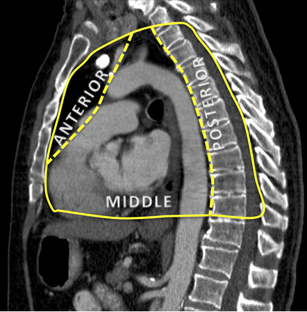 com.bmj.content.model.assessment.Caption@51598d43